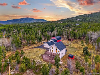 31551 Black Widow Dr, Conifer, CO 80433