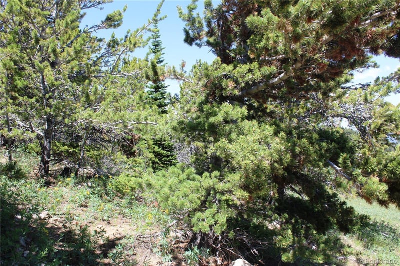 1595 Missouri Gulch Rd Lot 5082, 4708, 959, Black Hawk, CO 80422