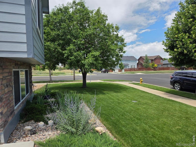 3445 Yule Trail Dr, Fort Collins, CO 80524