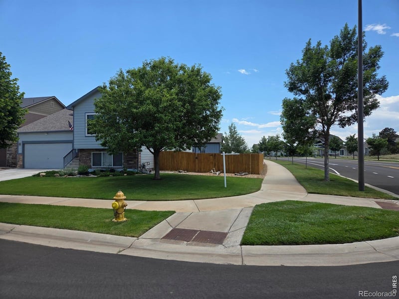 3445 Yule Trail Dr, Fort Collins, CO 80524