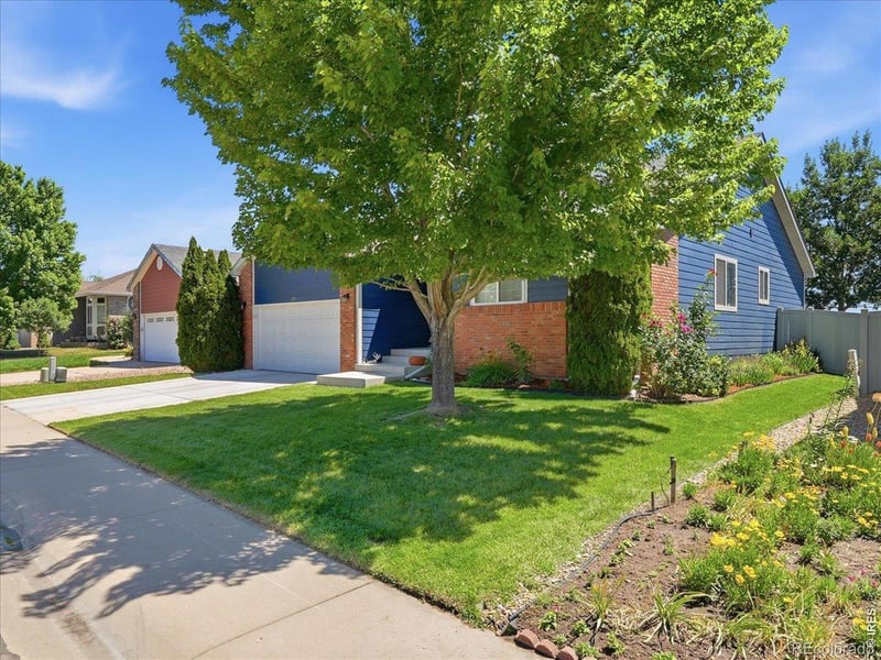 332 Whitney, Windsor, CO 80550