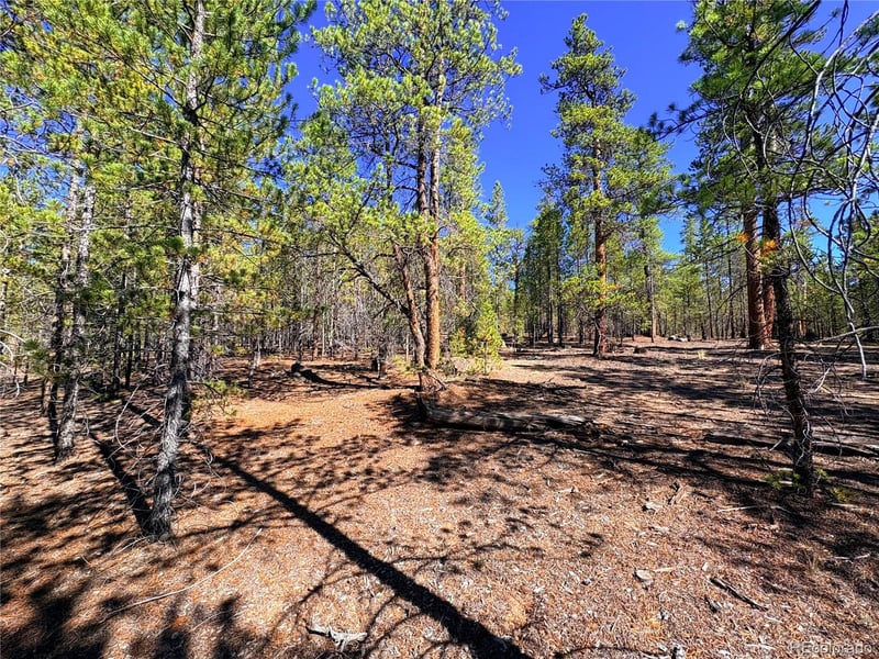 323 Aspen Dr Lot 272, Leadville, CO 80461