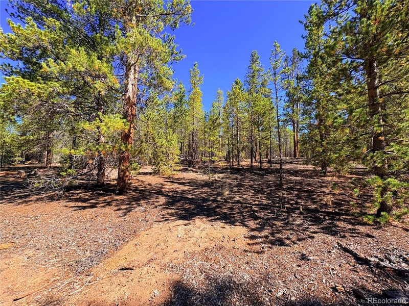 323 Aspen Dr Lot 272, Leadville, CO 80461