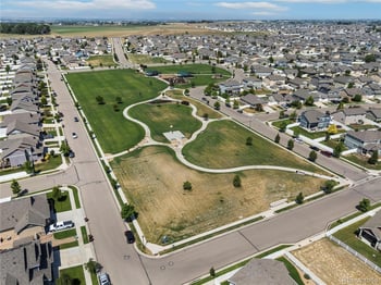 446 Ptarmigan St, Severance, CO 80550