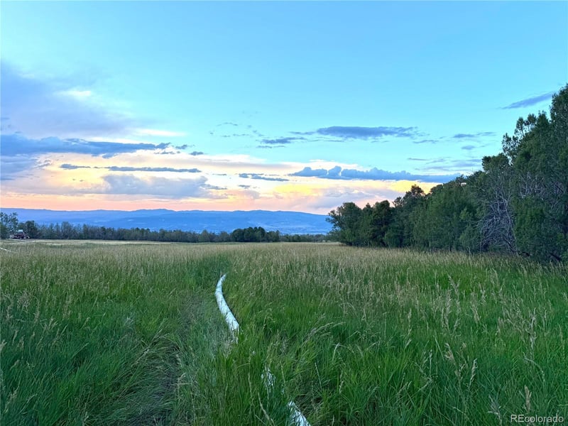 34706 Fruitland Mesa Rd, Crawford, CO 81415