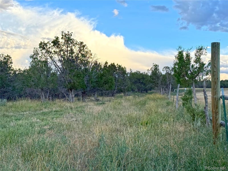 34706 Fruitland Mesa Rd, Crawford, CO 81415