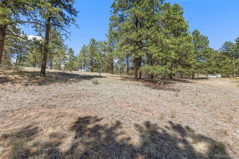 349 Rhyolite Ln Lot 34, Florissant, CO 80816