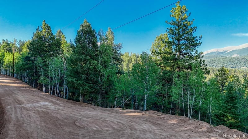 364 Blue Spruce Rd Lot 23, Divide, CO 80814