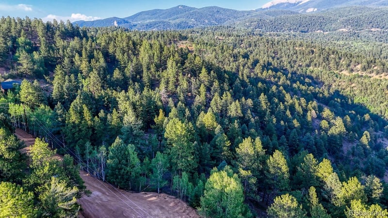 364 Blue Spruce Rd Lot 23, Divide, CO 80814
