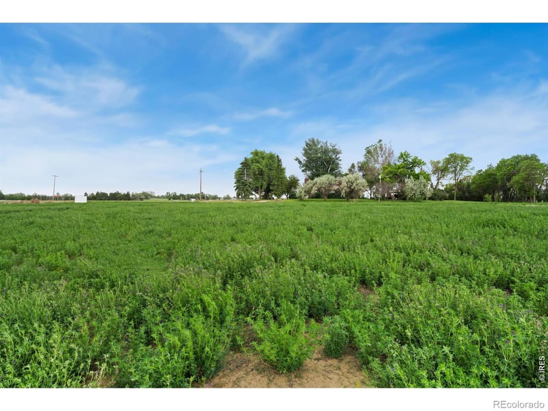 1534 Hauck Meadows Dr, Longmont, CO 80504