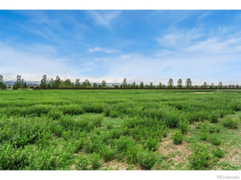 1534 Hauck Meadows Dr, Longmont, CO 80504