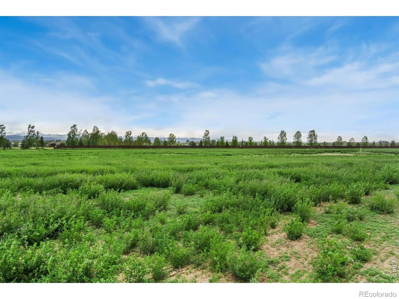 1534 Hauck Meadows Dr, Longmont, CO 80504