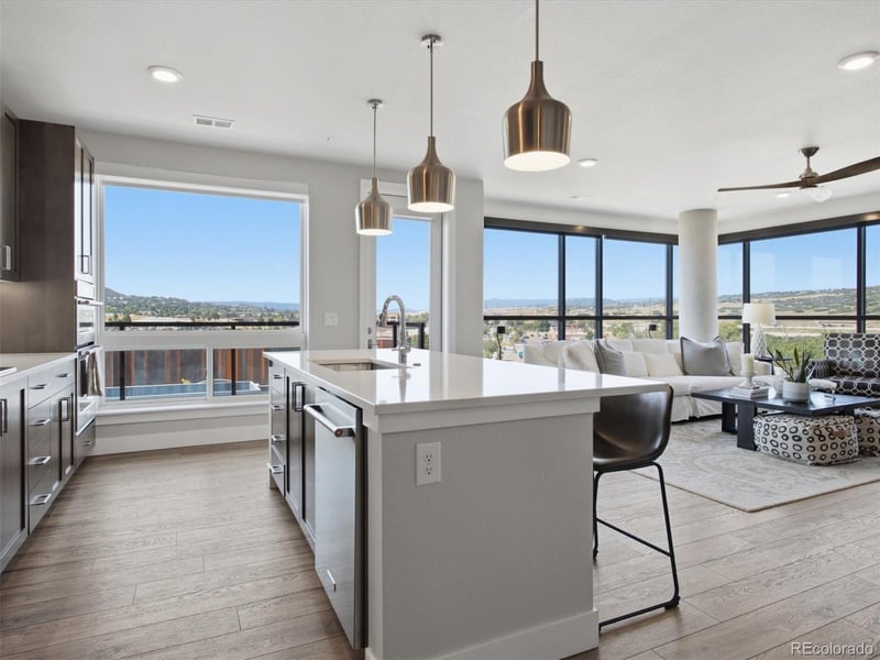 20 Wilcox St #502, Castle Rock, CO 80104