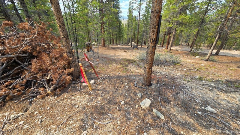 67 Lodgepole Dr Lot 45, Leadville, CO 80461