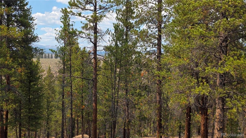 67 Lodgepole Dr Lot 45, Leadville, CO 80461