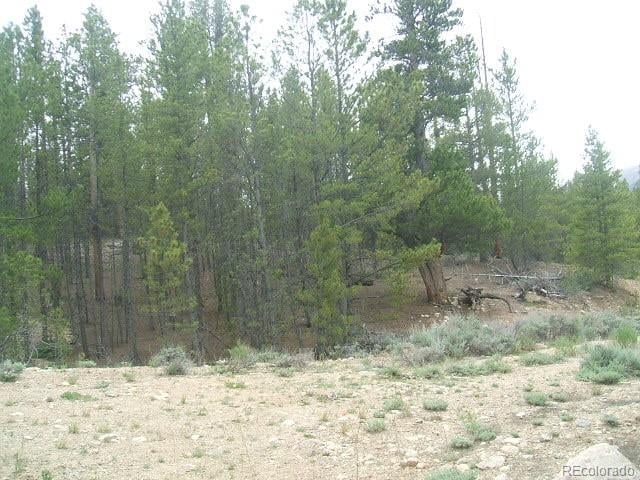 67 Lodgepole Dr Lot 45, Leadville, CO 80461