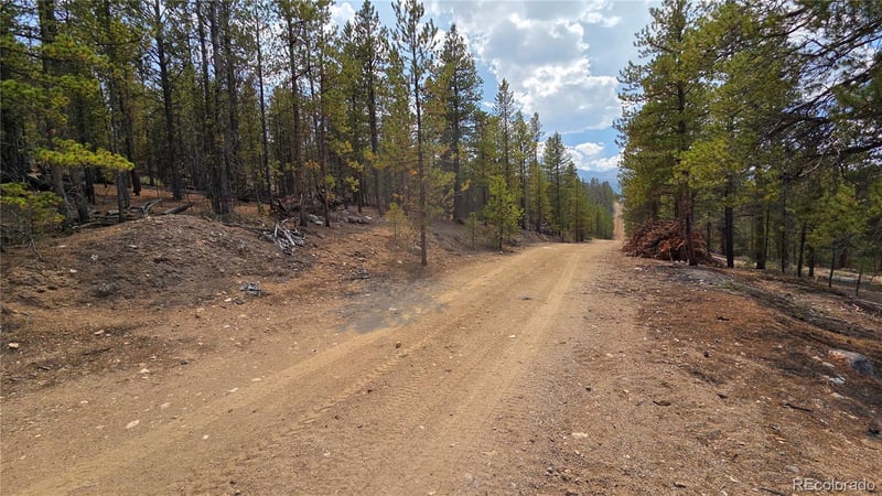 67 Lodgepole Dr Lot 45, Leadville, CO 80461