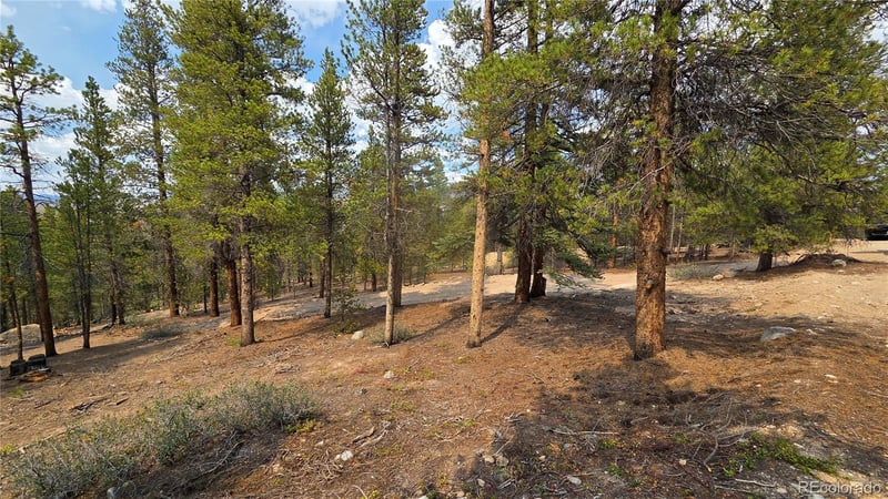 67 Lodgepole Dr Lot 45, Leadville, CO 80461