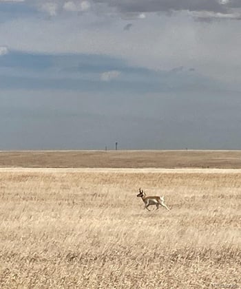 60106 County Road 21, Carr, CO 80612