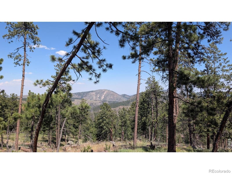 Old Camp Rd, Bellvue, CO 80512
