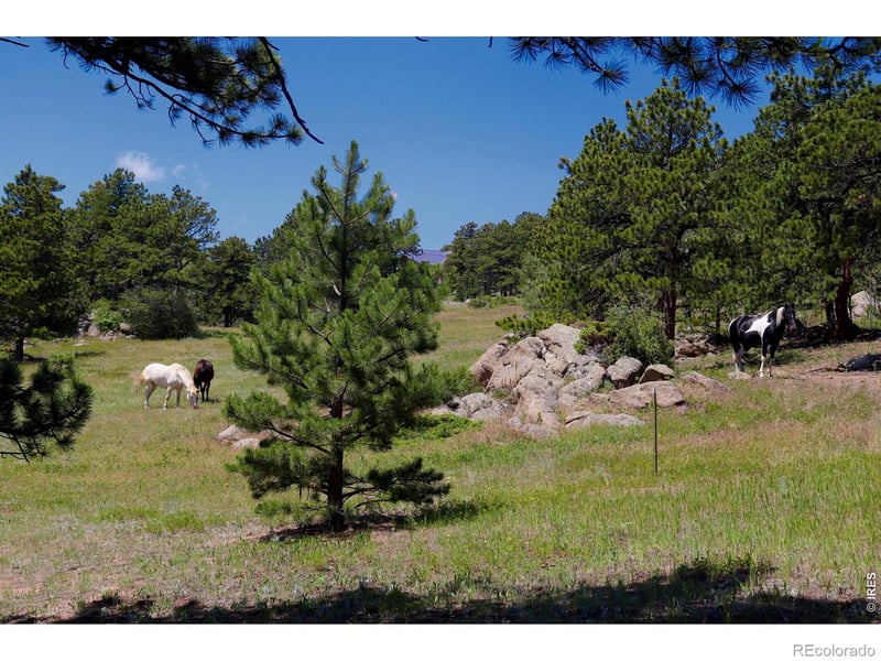636 Ranch Rd, Ward, CO 80481