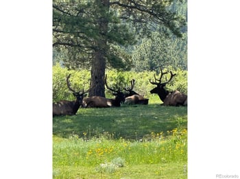 270 Choctaw Rd, Lyons, CO 80540
