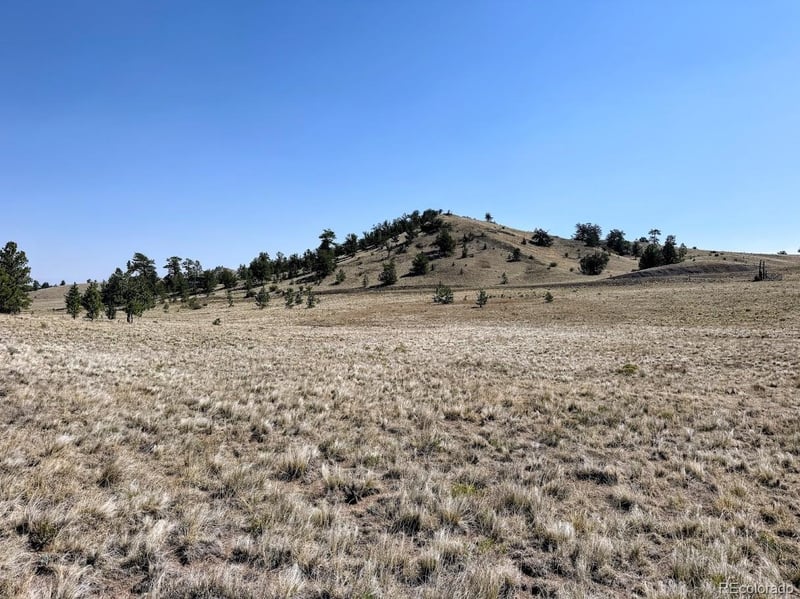 0000 Falcon Rd, Hartsel, CO 80449