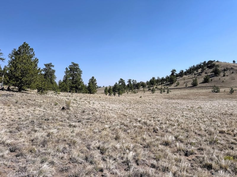 0000 Falcon Rd, Hartsel, CO 80449