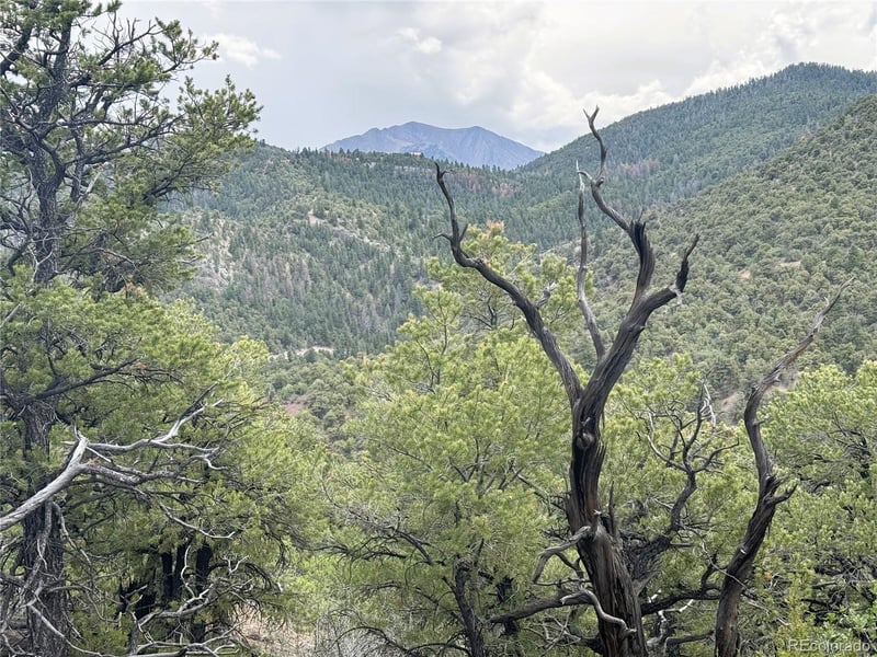 3282 Lower Camp Rd Lot 12, Howard, CO 81233