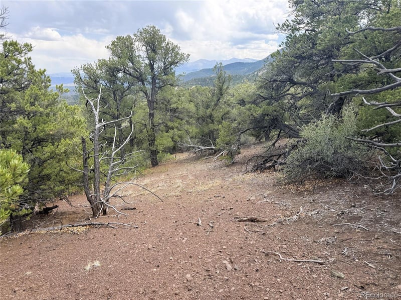 3282 Lower Camp Rd Lot 12, Howard, CO 81233
