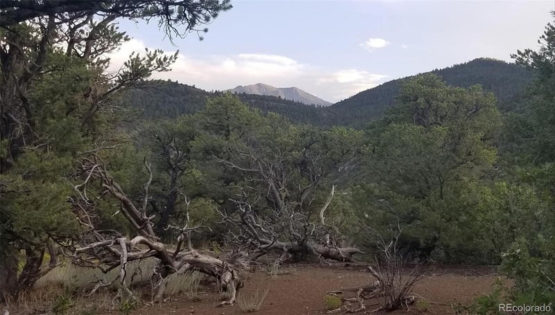 3282 Lower Camp Rd Lot 12, Howard, CO 81233