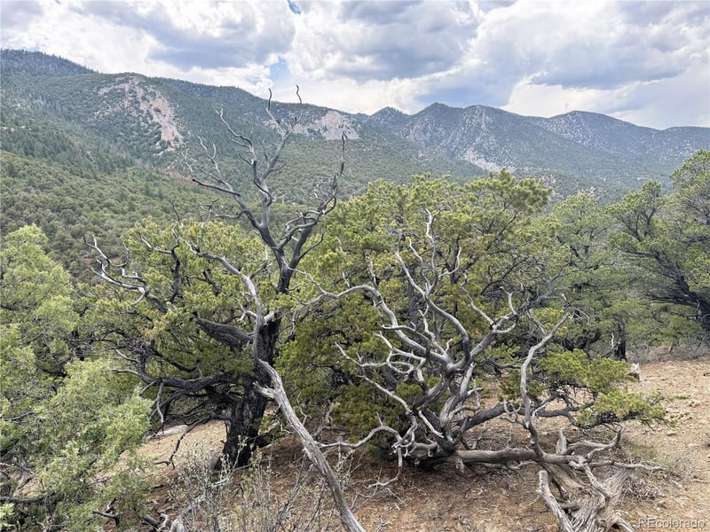 3282 Lower Camp Rd Lot 12, Howard, CO 81233