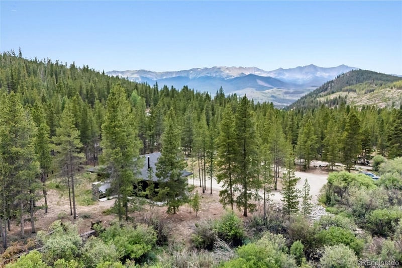 2383 Tiger Rd, Breckenridge, CO 80424