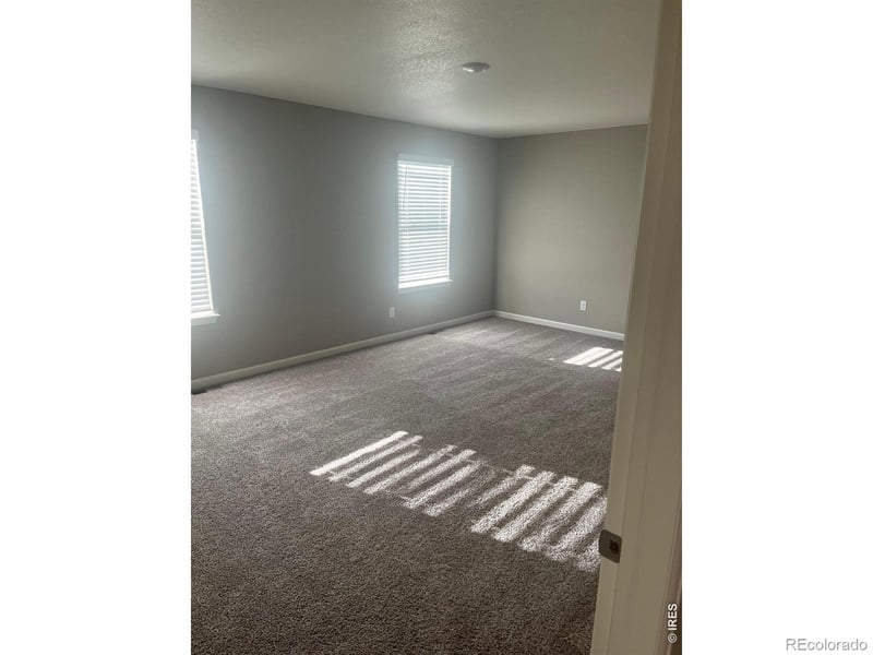 4529 Kingswood Dr, Windsor, CO 80550
