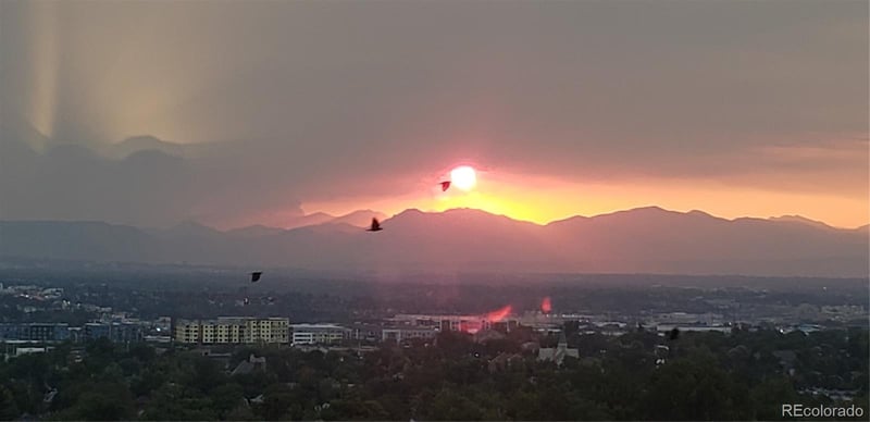 480 Marion Pw #1304, Denver, CO 80209