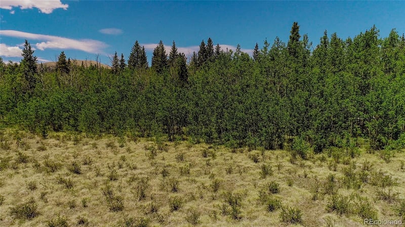 515 Wild Rye Rd Lot 130, Fairplay, CO 80440
