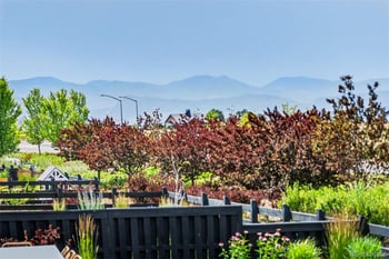 8765 Moonshimmer Trl, Littleton, CO 80125