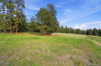 10462 Tomichi Dr, Franktown, CO 80116