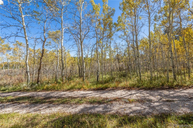 Lot 2a & 2b, Red Feather Lakes, CO 80545