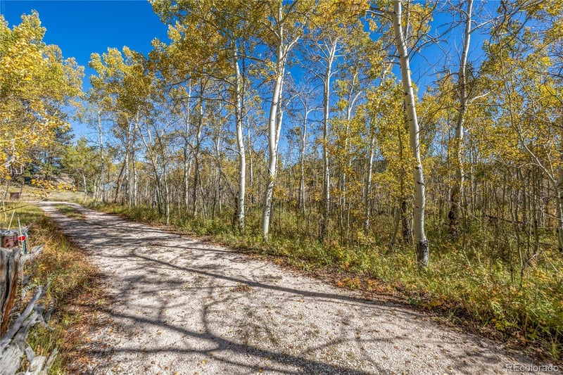 Lot 2a & 2b, Red Feather Lakes, CO 80545