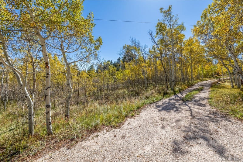 Lot 2a & 2b, Red Feather Lakes, CO 80545