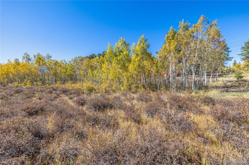Lot 2a & 2b, Red Feather Lakes, CO 80545