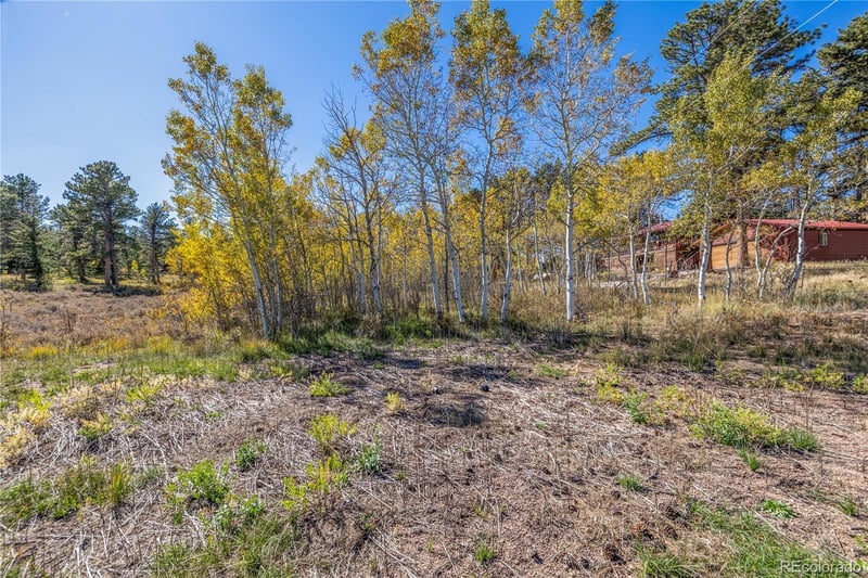 Lot 2a & 2b, Red Feather Lakes, CO 80545