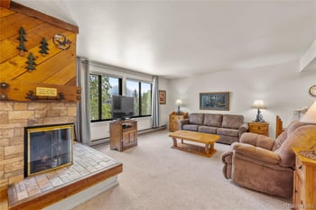 166 Argentine Ct #1433, Dillon, CO 80435