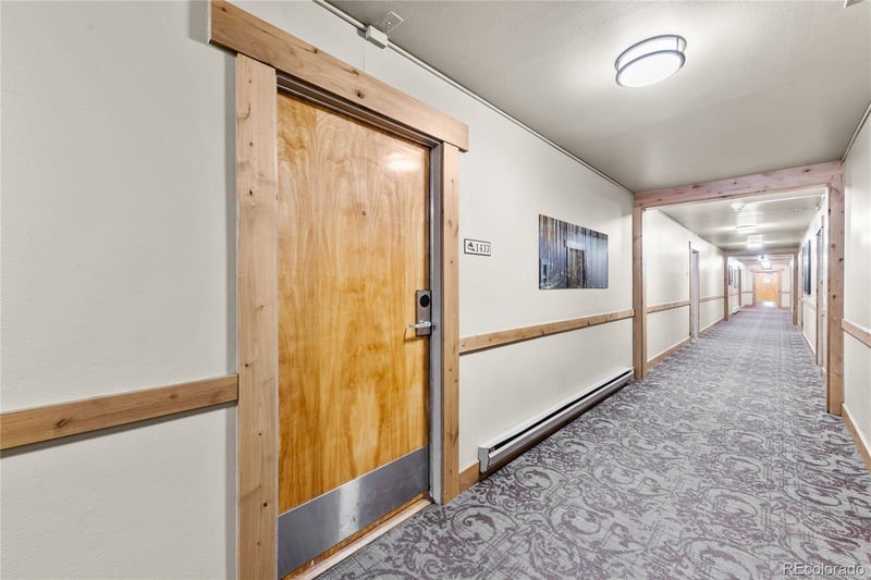 166 Argentine Ct #1433, Dillon, CO 80435