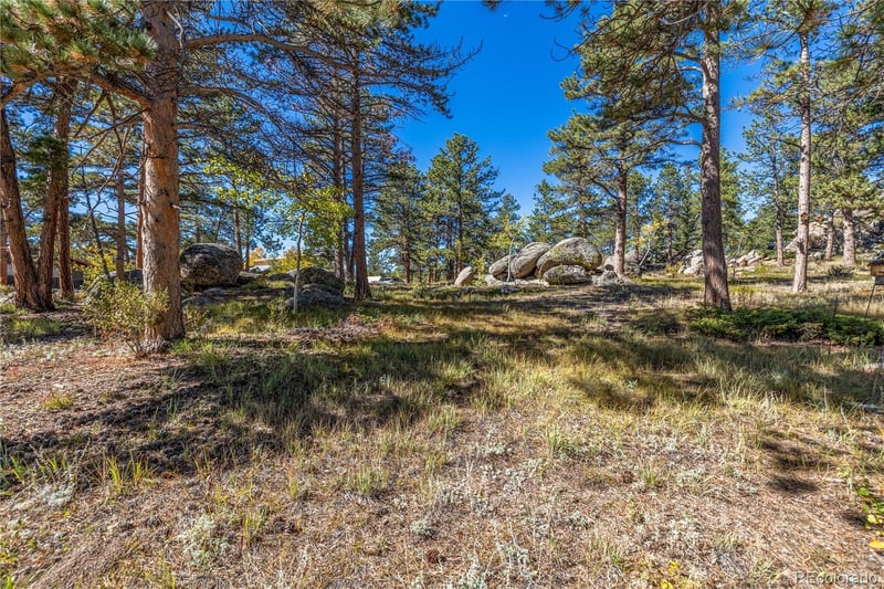 Lot 5a & 5b, Red Feather Lakes, CO 80545