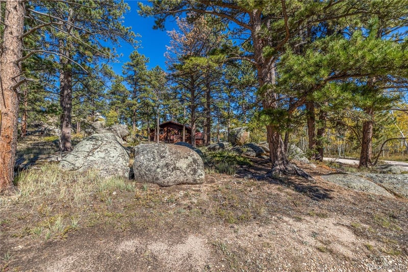 Lot 5a & 5b, Red Feather Lakes, CO 80545