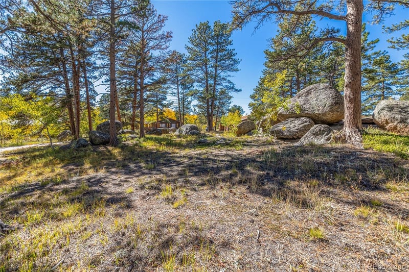 Lot 5a & 5b, Red Feather Lakes, CO 80545
