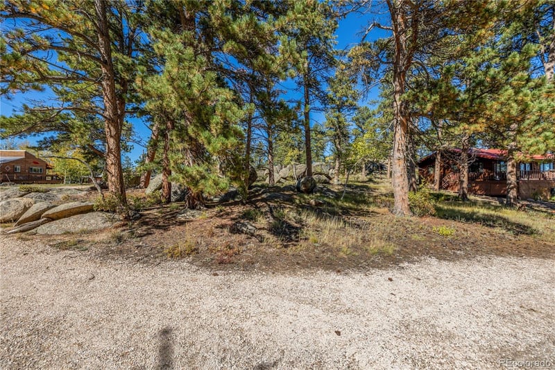 Lot 5a & 5b, Red Feather Lakes, CO 80545