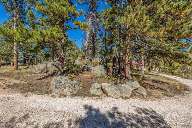 Lot 5a & 5b, Red Feather Lakes, CO 80545